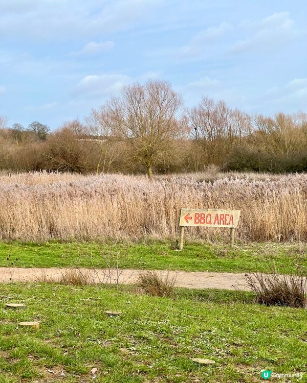 『英國』🇬🇧公園親子放電｜同陽光玩遊戲☀️