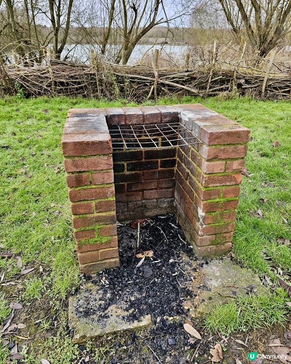 『英國』🇬🇧公園親子放電｜同陽光玩遊戲☀️