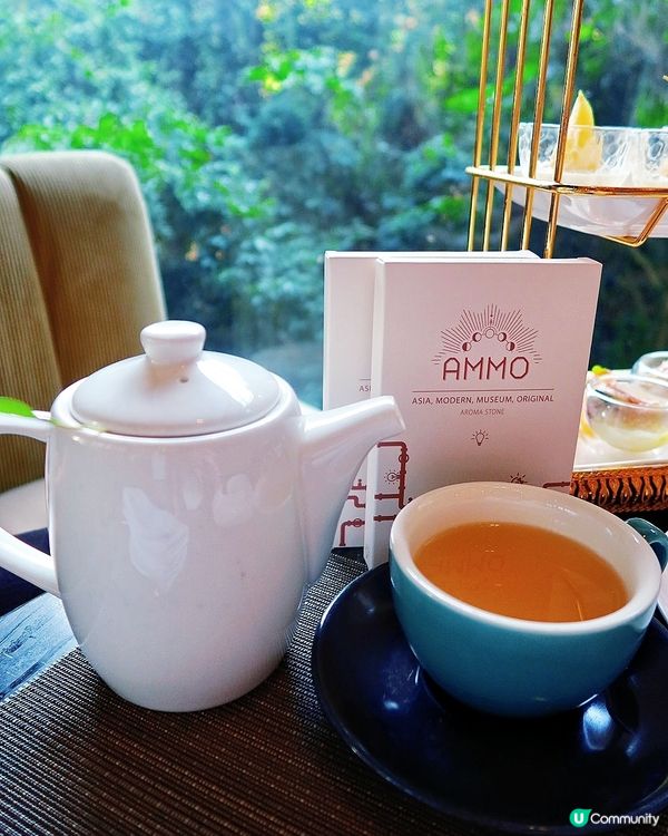 金鐘北歐風玻璃屋下午茶🌹