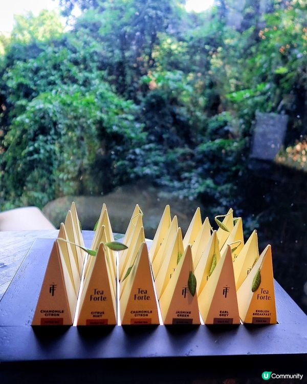 金鐘北歐風玻璃屋下午茶🌹