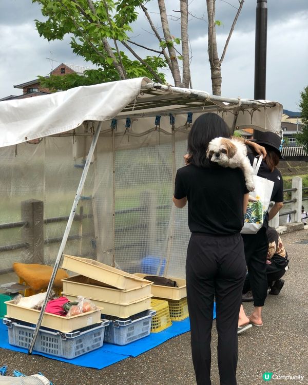 環遊日本🇯🇵｜高山市內一日遊路線攻略🛖