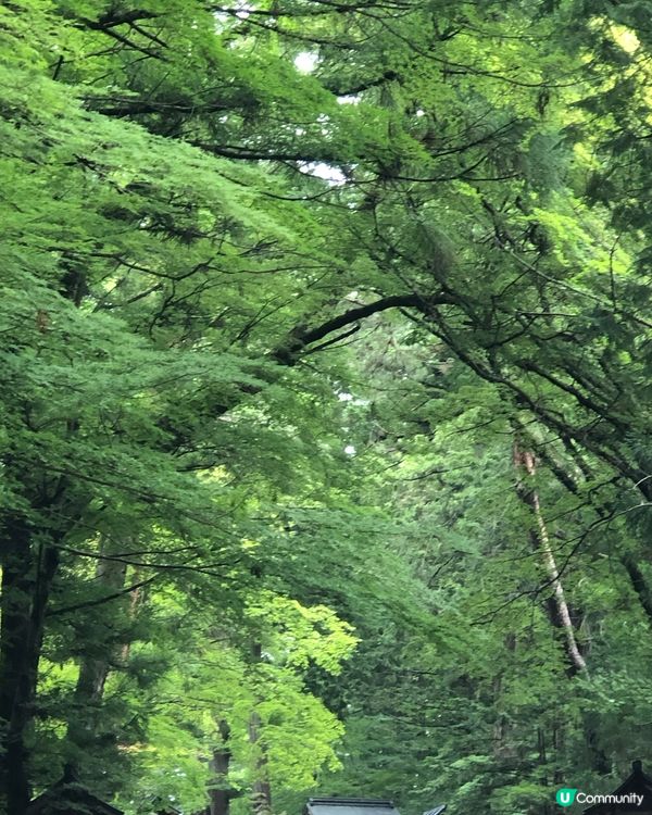環遊日本🇯🇵｜高山市內一日遊路線攻略🛖