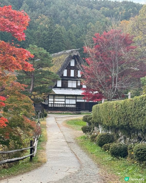 環遊日本🇯🇵｜高山市內一日遊路線攻略🛖