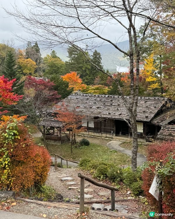 環遊日本🇯🇵｜高山市內一日遊路線攻略🛖