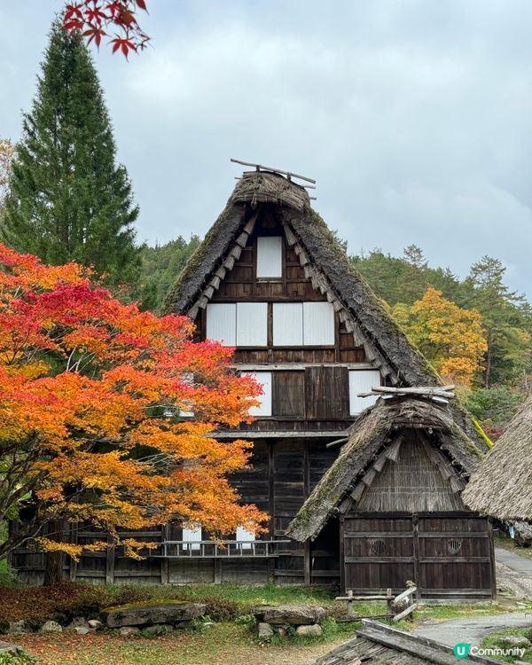 環遊日本🇯🇵｜高山市內一日遊路線攻略🛖