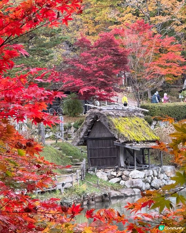 環遊日本🇯🇵｜高山市內一日遊路線攻略🛖