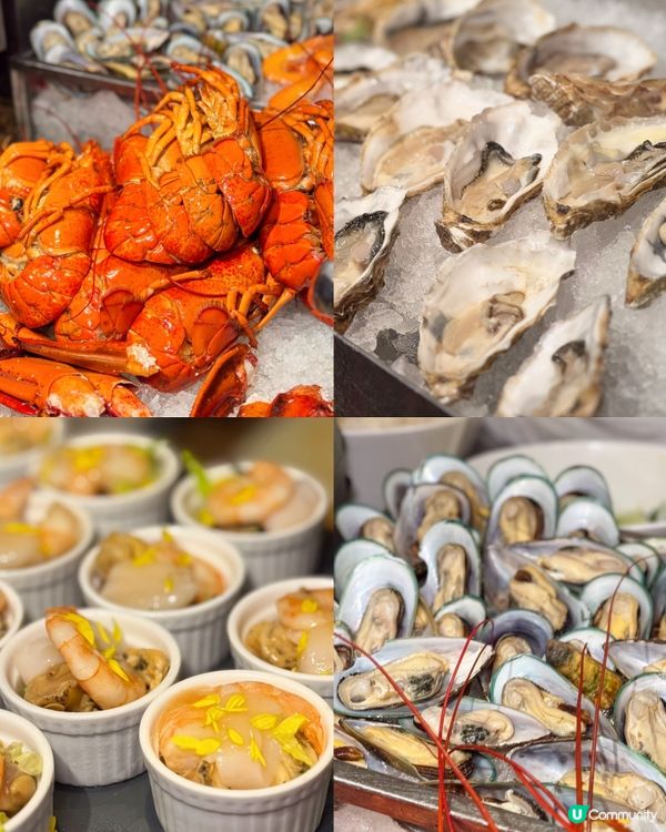 鮑寶蠔華! 高質酒店自助餐‼️