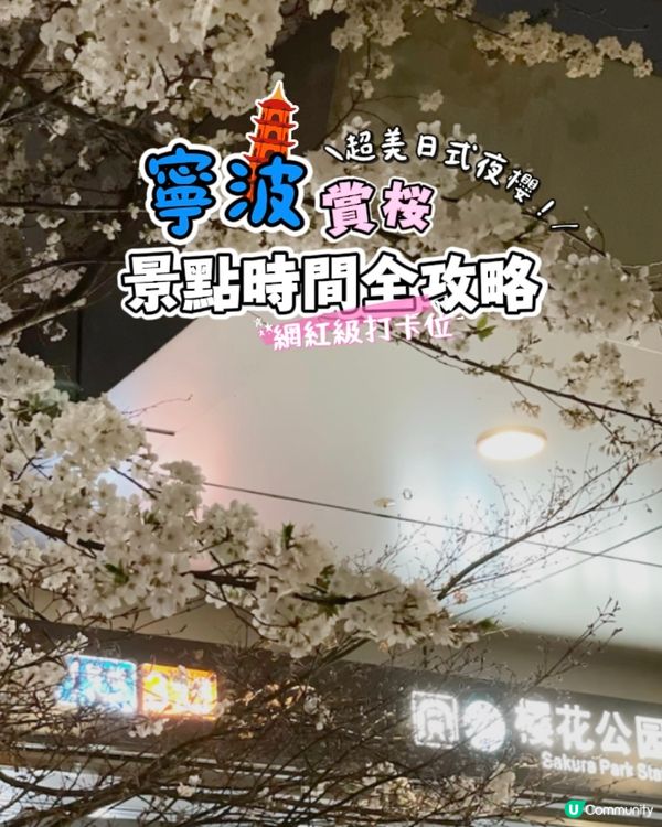 【賞花點大放送】3月寧波都能賞日本櫻花？？