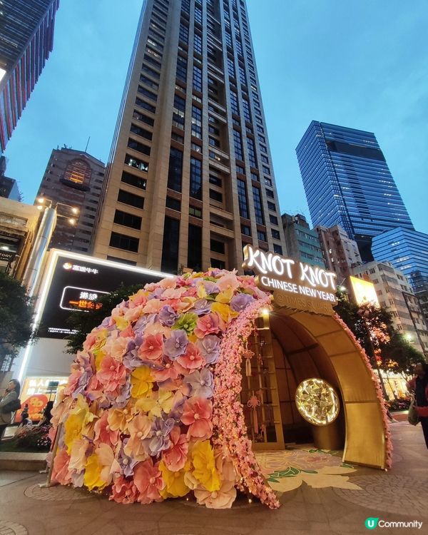 🧨銅鑼灣馬年如意結🤩💰