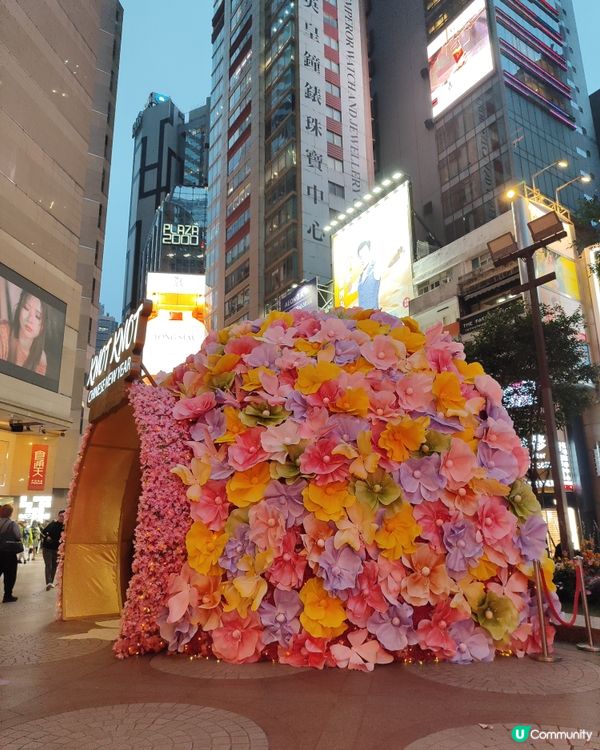 🧨銅鑼灣馬年如意結🤩💰