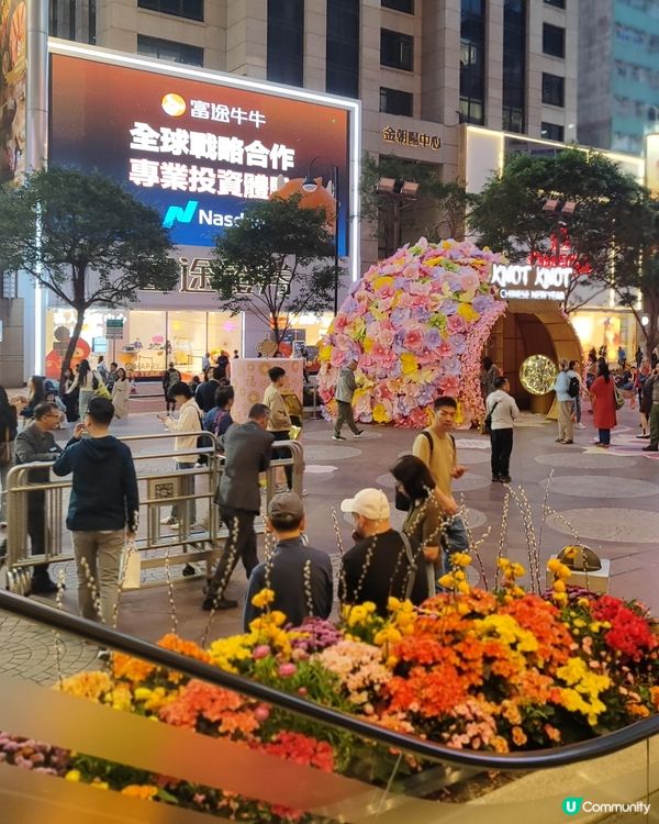 🧨銅鑼灣馬年如意結🤩💰