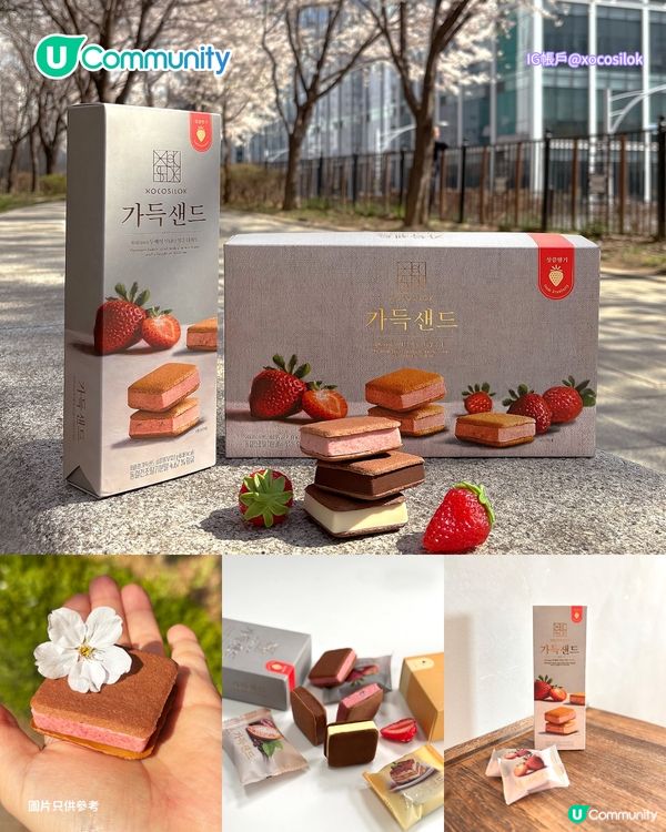 【韓國手信2026】 首爾必買8️⃣大零食手信推介🍓原顆水果糯米滋/爆紅奶油餅乾