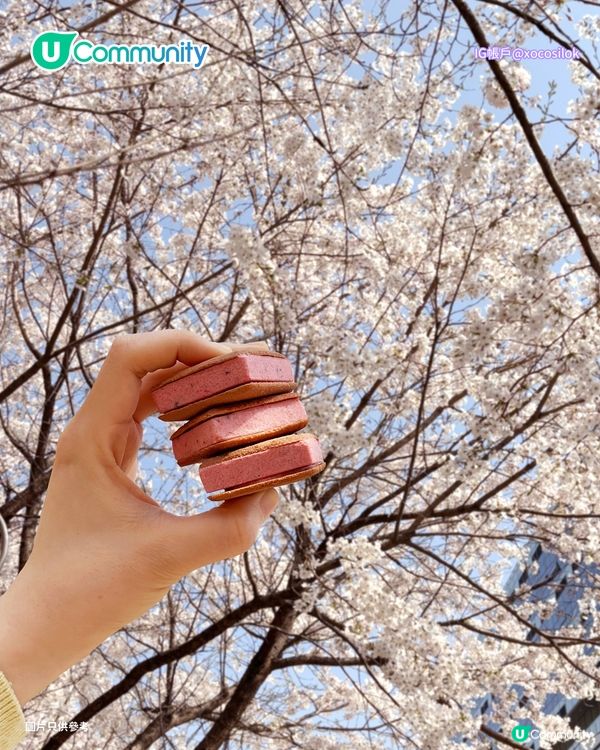 【韓國手信2026】 首爾必買8️⃣大零食手信推介🍓原顆水果糯米滋/爆紅奶油餅乾