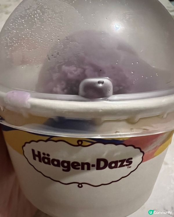 Haagen Dazs雪糕