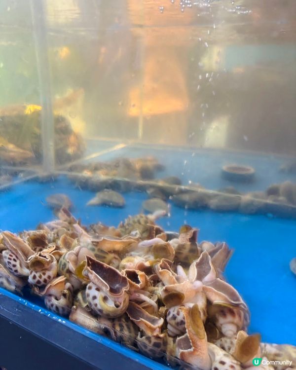 今日帶大家來品嘗美味又地道酸菜魚😇