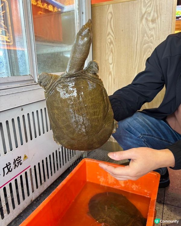 今日為大家介紹一間係老字號餐廳!