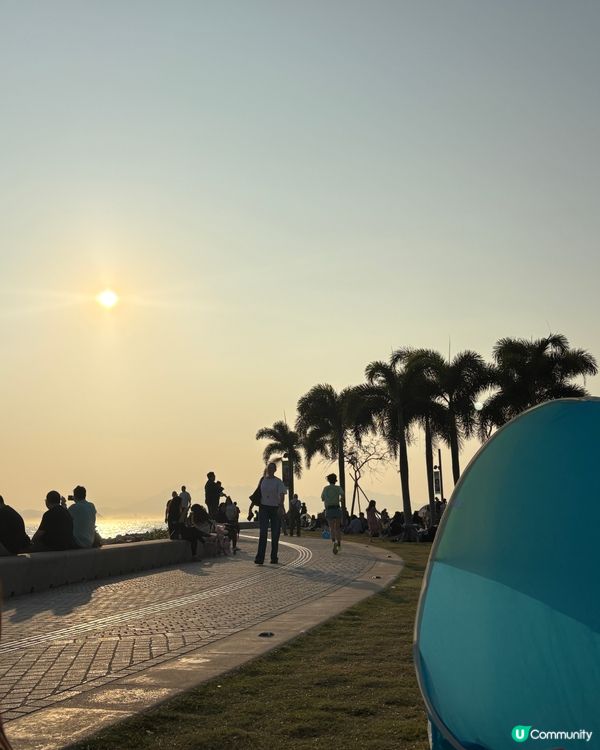 寵物好去處🐶西九文化區野餐