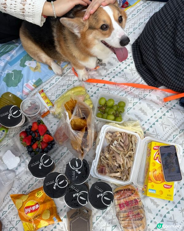 寵物好去處🐶西九文化區野餐