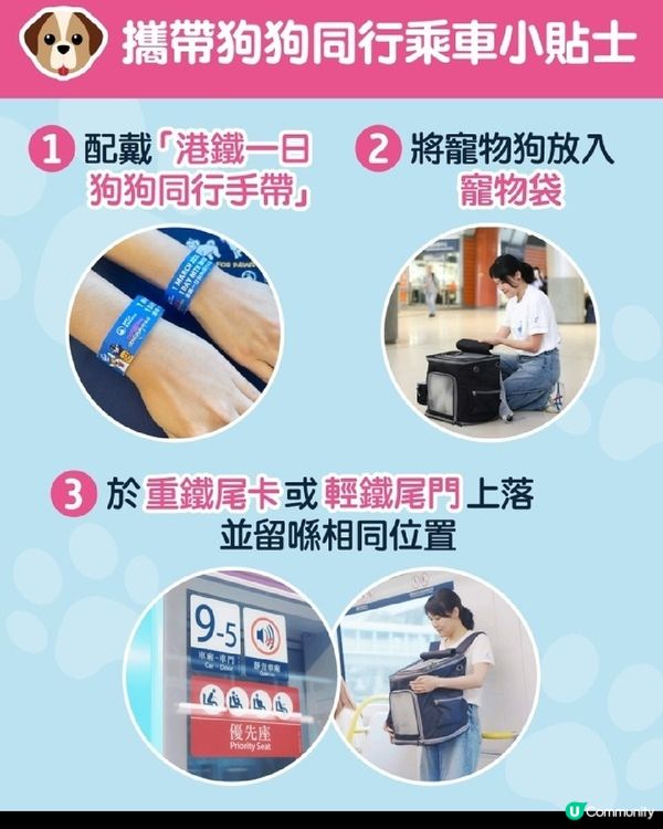 3月1日港鐵參與「全城狗狗行善日」 持手帶乘客可攜寵物狗乘搭