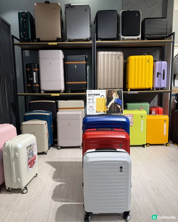 唔使攤平開喼！劉媽一拖二救星神器🧸✈️