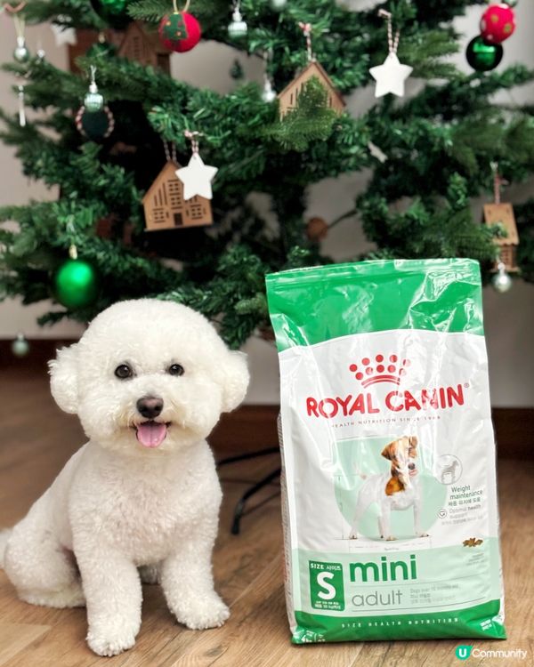🐶皇家專屬營養餐單