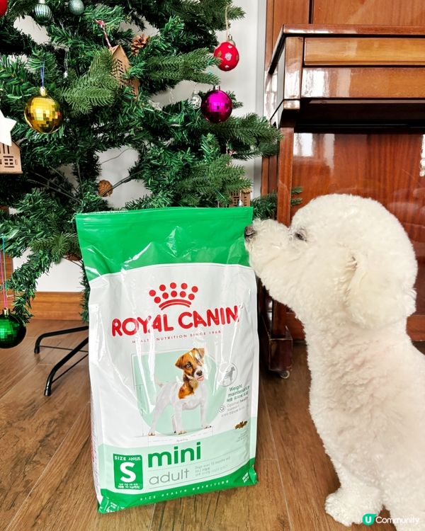 🐶皇家專屬營養餐單