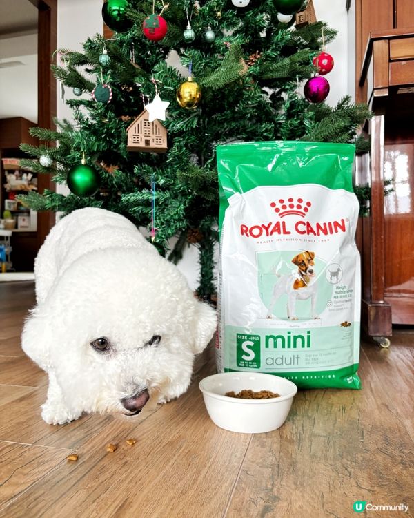 🐶皇家專屬營養餐單