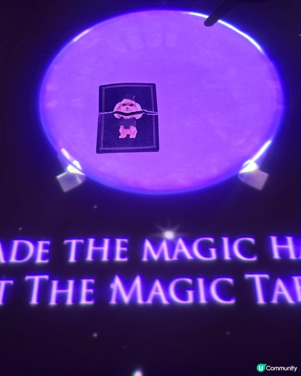 魔幻晚宴🍽️ 曼谷食新體驗 ✨