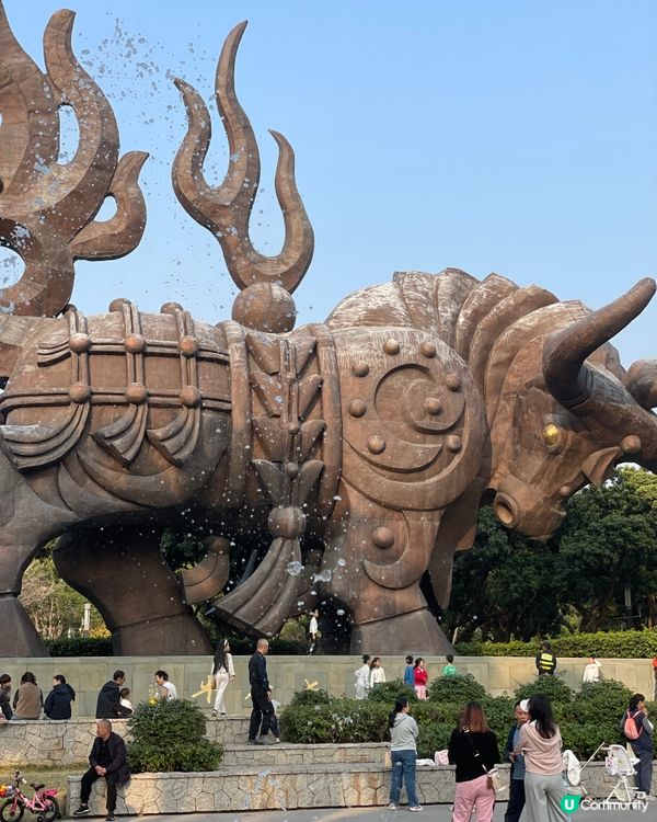 深圳四海公園落羽松🍁🍂