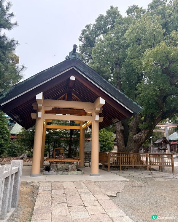 大鳥大社🏆勝運全開💯🍃🧘‍♀️
