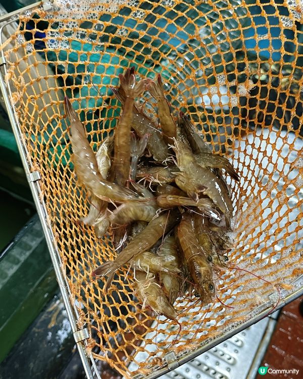 二十多年老店海鮮粥🤤👍