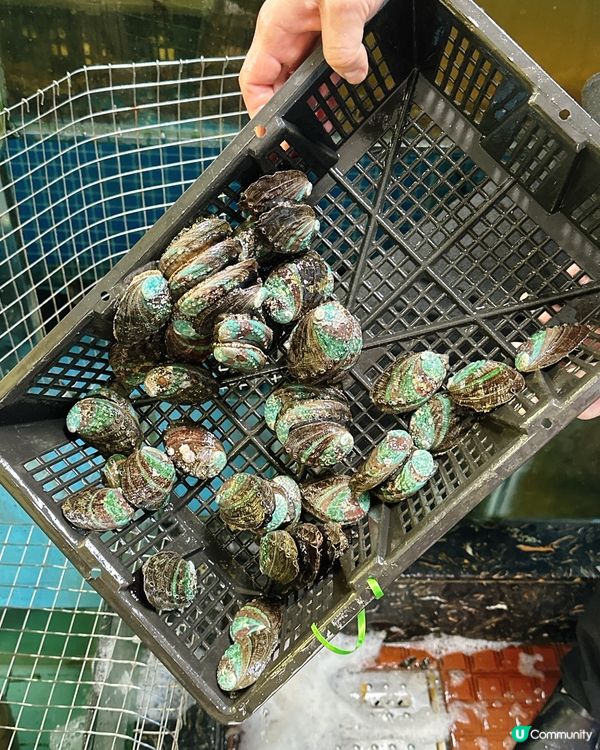 二十多年老店海鮮粥🤤👍