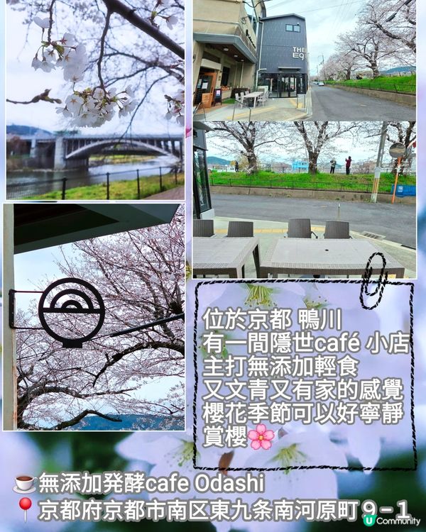 🌸大阪,京都人氣 和 隱世賞櫻花cafe🌸