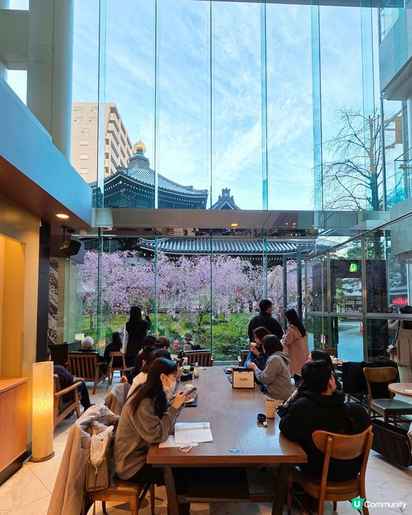 🌸大阪,京都人氣 和 隱世賞櫻花cafe🌸