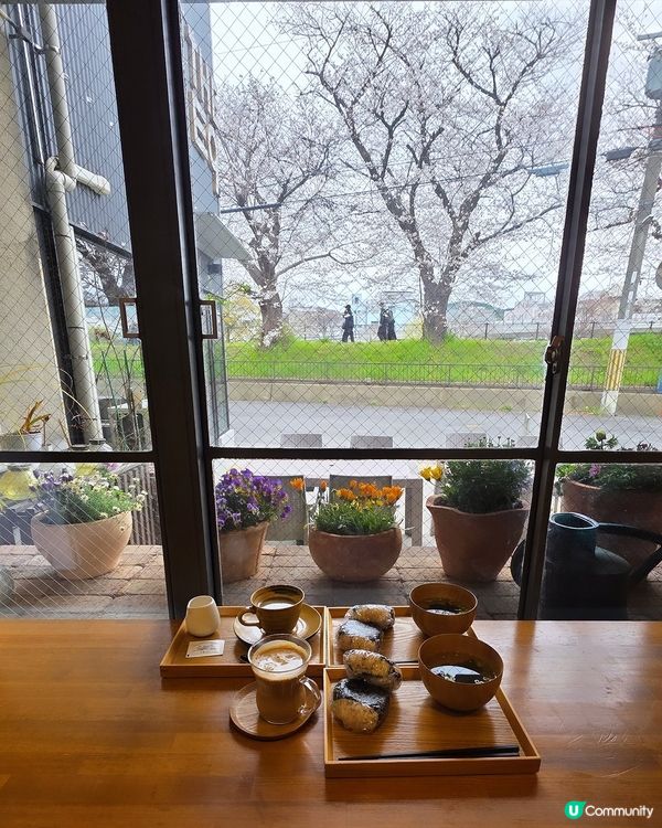 🌸大阪,京都人氣 和 隱世賞櫻花cafe🌸