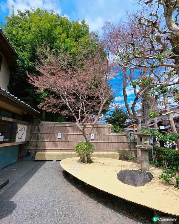 🌸大阪,京都人氣 和 隱世賞櫻花cafe🌸