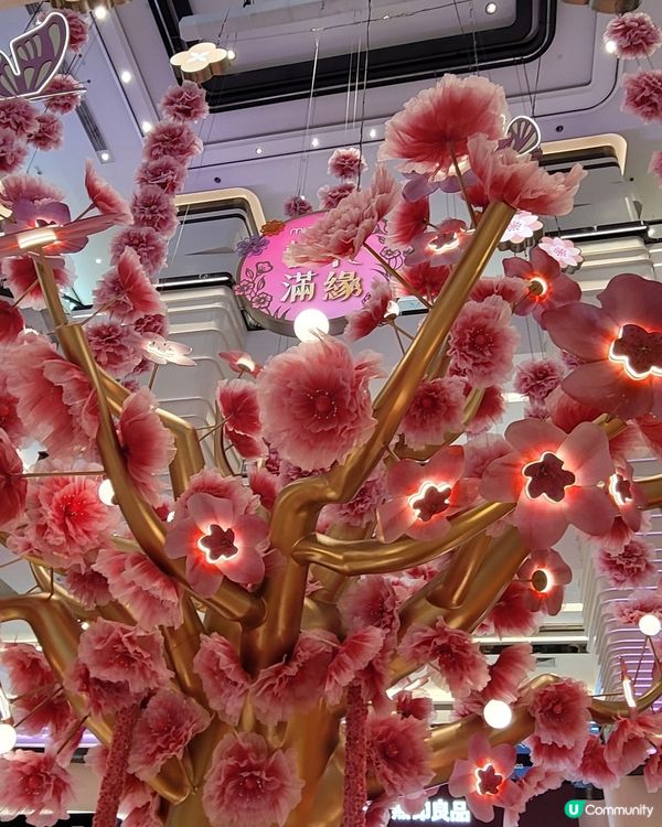 「桃花滿『緣』」