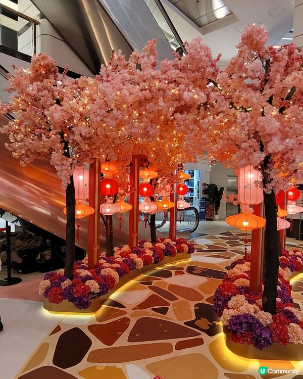 「桃花滿『緣』」