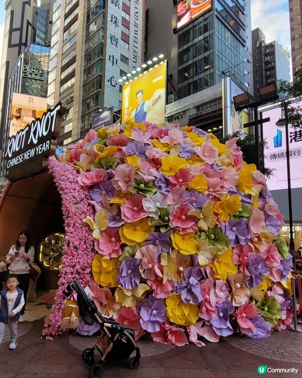 《KNOT KNOT HAPPY NEW YEAR》