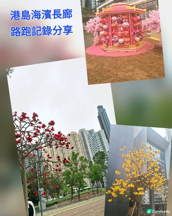 【運動】13K海濱長跑！維港景色💯🏃（1/2）