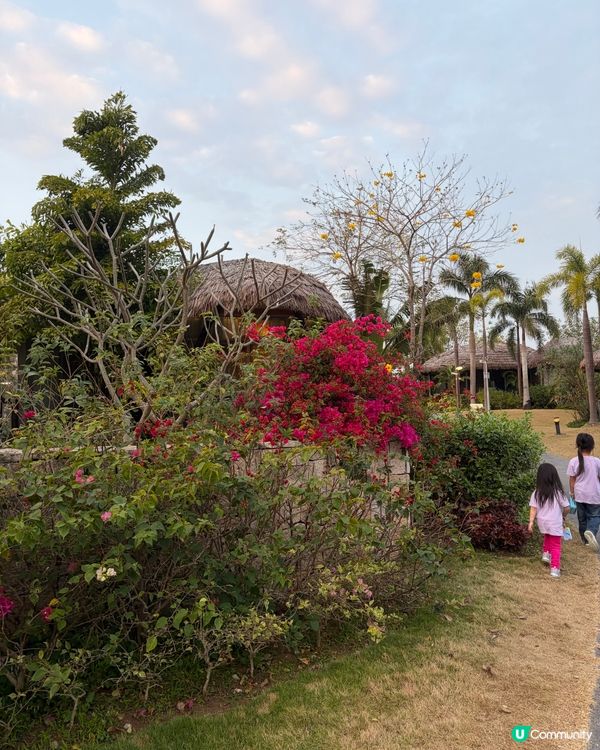 星樂度橫琴⛰️親子後花園！🌳🍃