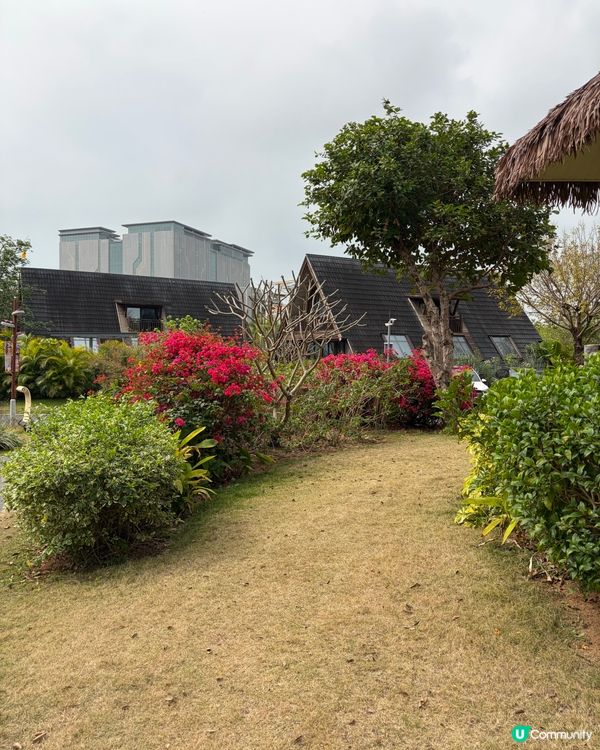 星樂度橫琴⛰️親子後花園！🌳🍃