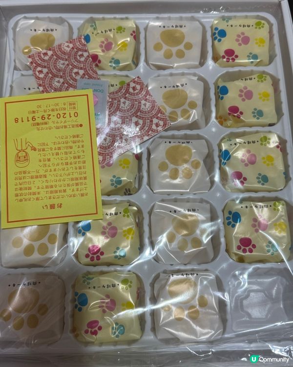 新年收禮物，芝士蛋糕