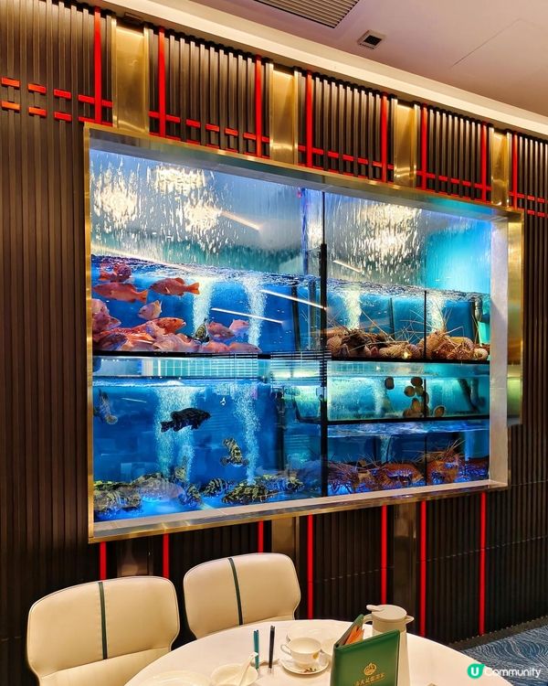 在朗屏！吃得到有質素中菜點心！