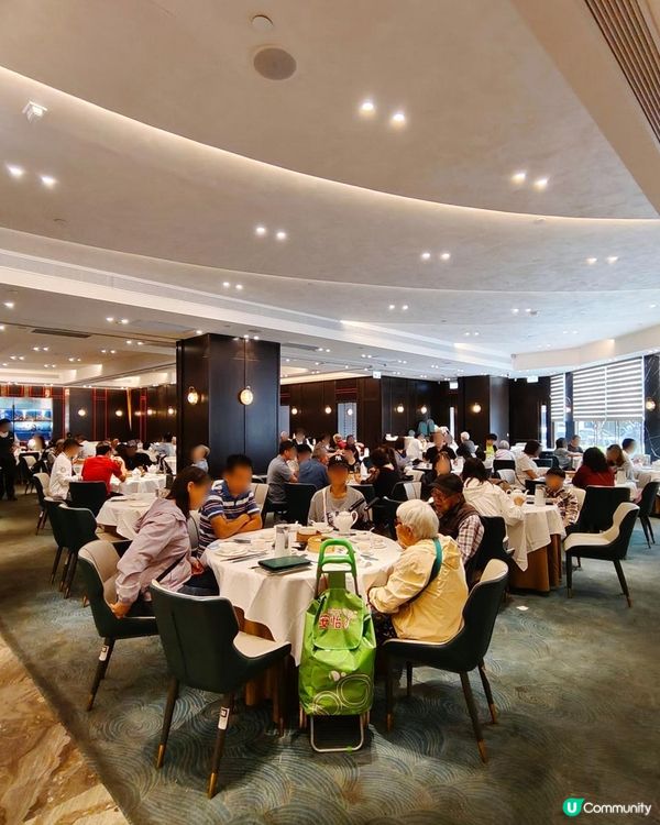 在朗屏！吃得到有質素中菜點心！