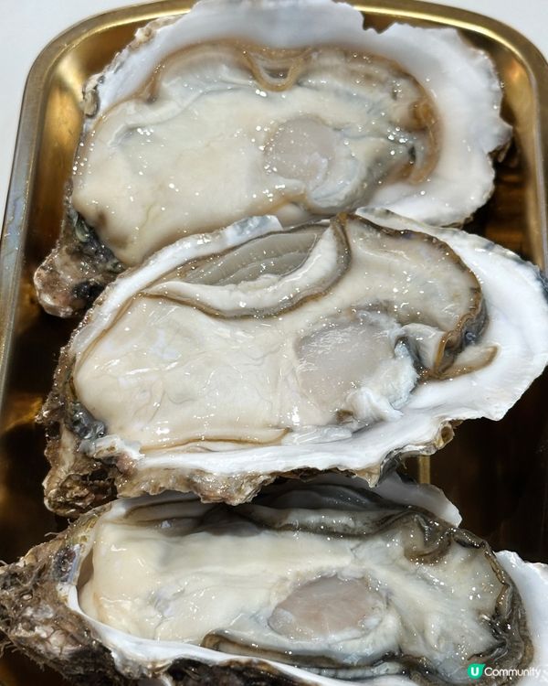 廣州人都未必知 免費順德粥底火鍋