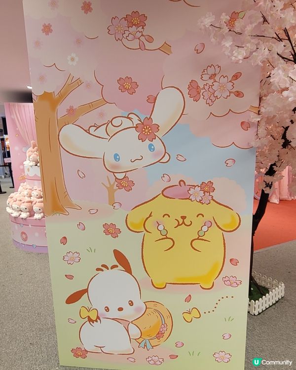 My Melody X Sanrio characters