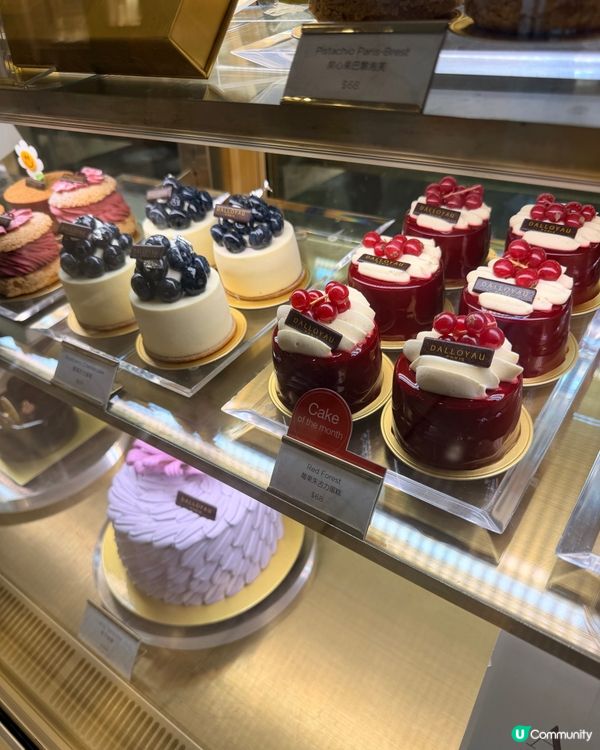 中環甜品天堂覓食攻略！🍰✨