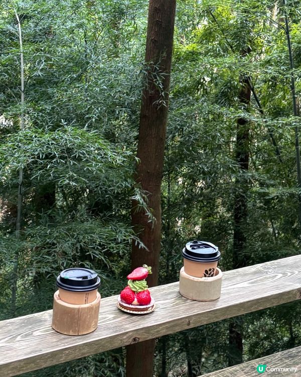 福岡6日5夜攻略！6日遊爆路線🛍️😋