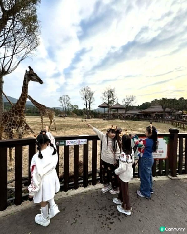 復活節🤩長隆指定套票買2送1！住宿送自助早餐、 限量升級房型